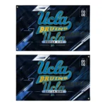 Ucla Bruins House Flag Customized Speed Slashes Blue Best Selling