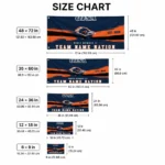 Utsa Roadrunners House Flag Personalized Brushed Streaks Orange Best Selling