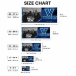 Villanova Wildcats House Flag Customized Framed Photo Navy Black Best Selling